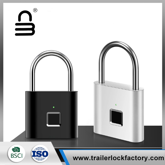 Mini Keysless Smart Security Lock
